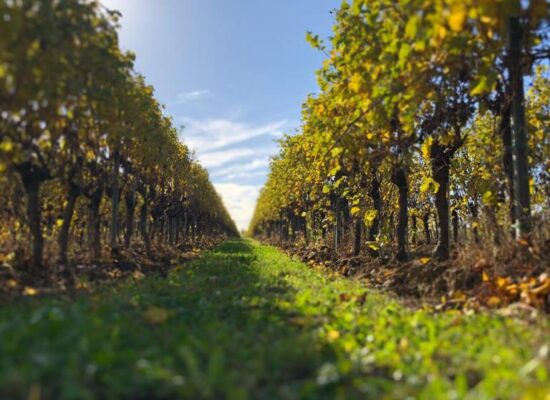 WhatsApp Image 2023-10-03 at 16.22.47 (1)