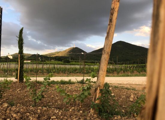 WhatsApp Image 2023-10-03 at 16.22.47