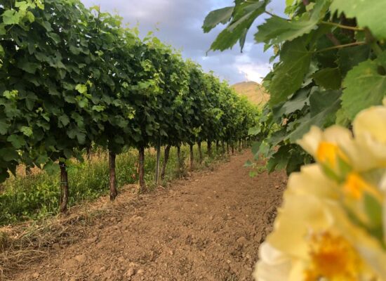 WhatsApp Image 2023-10-03 at 16.38.12 (4)